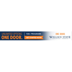 Wallace_OneDoor2022_Display_728x90